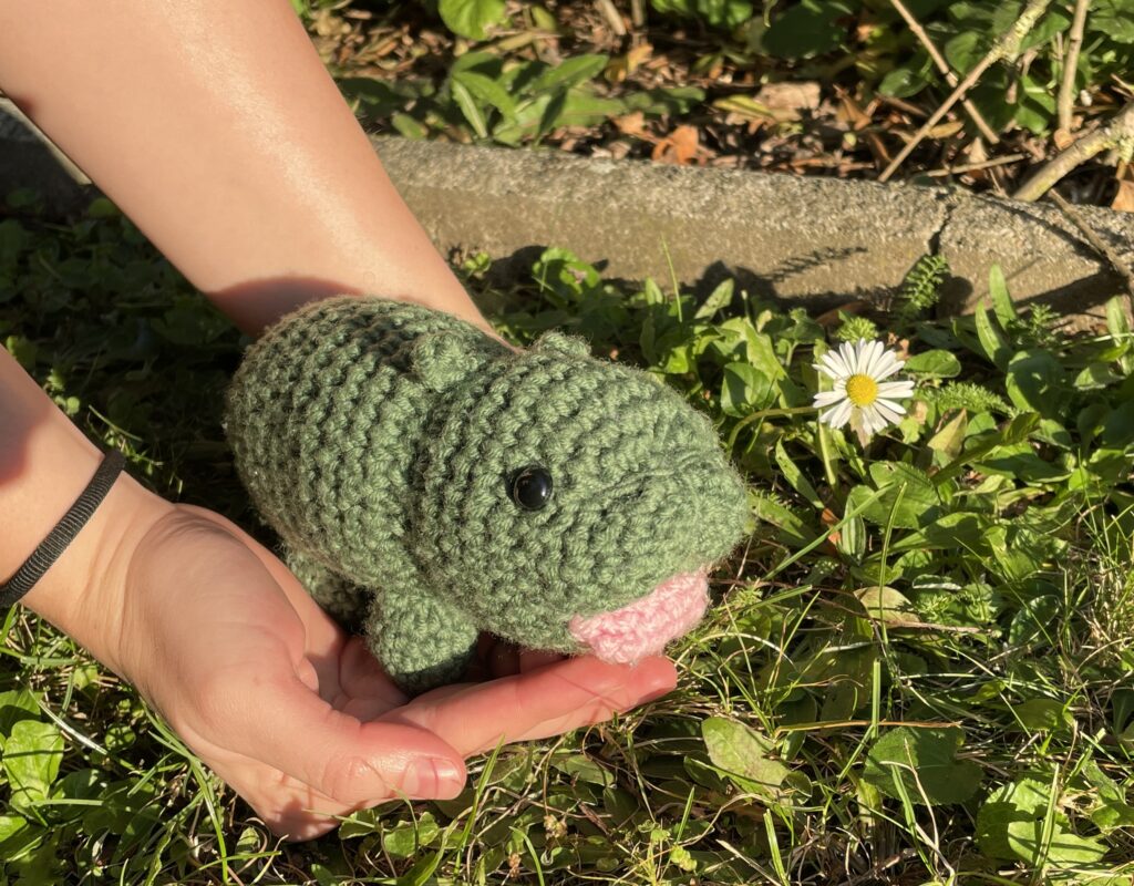 Ein grünes Kuscheltier in einer Hand auf der Wiese